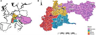 Upstream-downstream asymmetries of drought impacts in major river basins of the European Alps